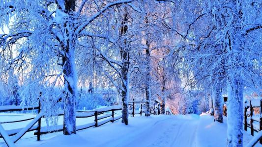 漂亮的冬季道路全高清壁纸和背景