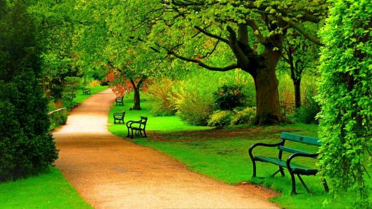 绿色春天公园长椅全高清壁纸和背景