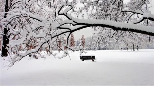 长凳在冬季公园全高清壁纸和背景