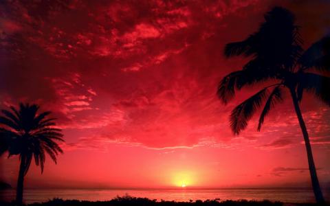 南太平洋日落全高清壁纸和背景