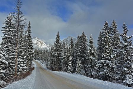 冬季道路在加拿大班夫国家公园全高清壁纸和背景图像