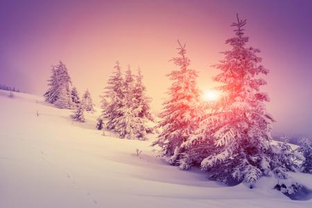 冬季太阳5k视网膜超高清壁纸和背景