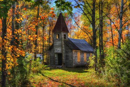 老教会在秋季森林全高清壁纸和背景