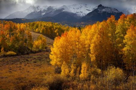 秋天在山全高清壁纸和背景