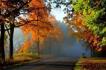 朦胧的秋季道路全高清壁纸和背景图像