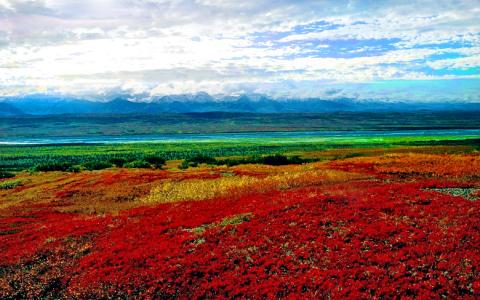 性质[61]阿拉斯加州denali国家公园[2015年4月26日星期日] [112539] [VersionOne]红地全高清壁纸和背景
