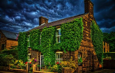 英国的房子覆盖在葡萄藤全高清壁纸和背景