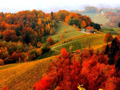 秋天的山村全高清壁纸和背景