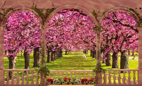 开花的树从眺望台墙纸和背景的视图