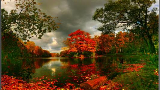 秋天的池塘全高清壁纸和背景
