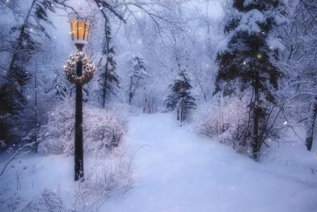 斯诺伊冬季道路在圣诞节全高清壁纸和背景