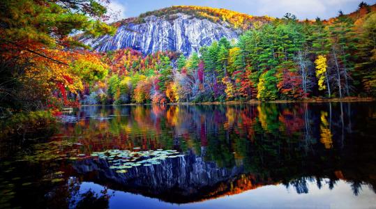 秋天的森林反映在湖4k超高清壁纸和背景