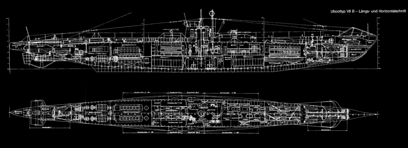 德国VII型潜艇示意图。 