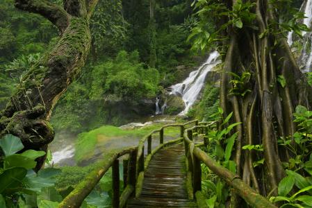 在泰国森林4k超高清壁纸和背景的瀑布