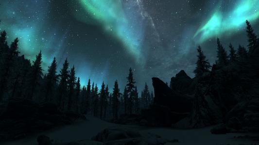 极光在冬季森林全高清壁纸和背景图像北极光