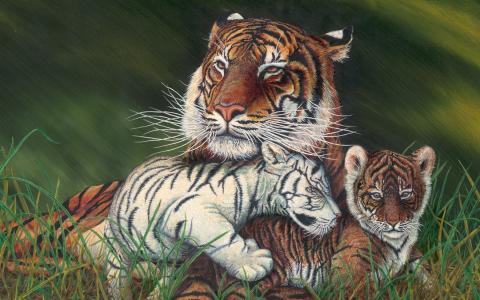 老虎和她的幼崽全高清壁纸和背景