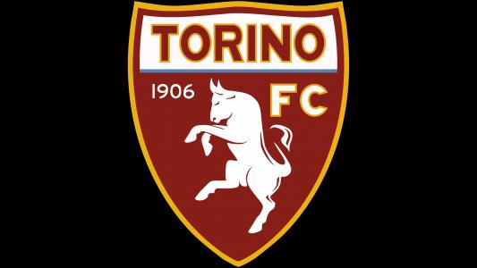 Torino F.C. 