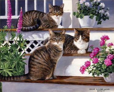 三只猫坐花长凳壁纸和背景
