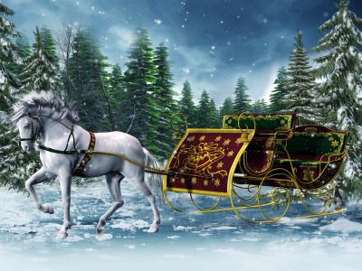马和假日雪橇4k超高清壁纸和背景图像