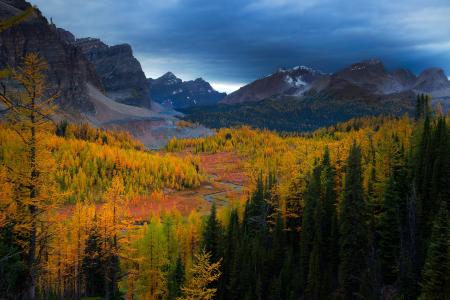 秋天的山风景全高清壁纸和背景图像