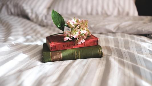 书和花在摄影师床上4k超高清壁纸和背景