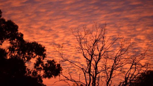 惊人的自然日落颜色在悉尼澳大利亚全高清壁纸和背景