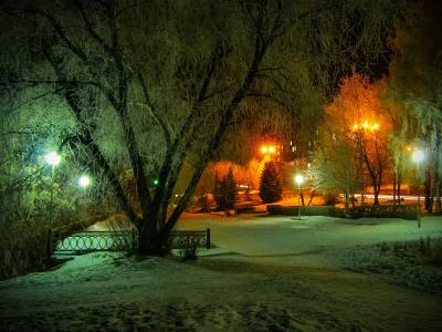 在晚上的冰雪覆盖的冬季公园全高清壁纸和背景