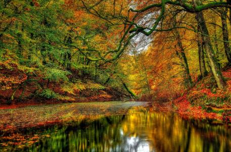秋季森林河全高清壁纸和背景