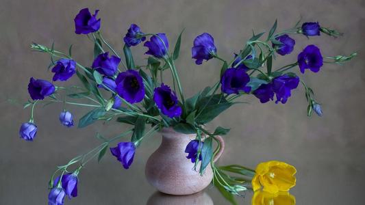 花瓶里的蓝色花壁纸和背景图像