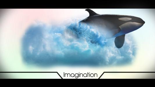 鲸鱼：想象力全高清壁纸和背景