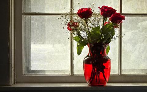 在窗台上全高清壁纸和背景图像花瓶里的玫瑰