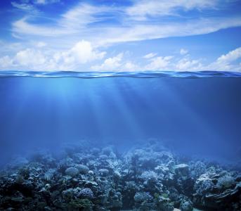 海底4k超高清壁纸和背景下的珊瑚礁
