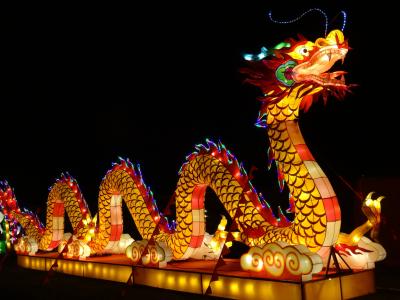 中国灯节,中国龙浮,维多利亚澳大利亚全高清壁纸和背景图像