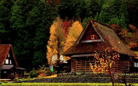 在秋季森林小屋全高清壁纸和背景图像