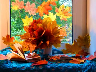 秋季静物全高清壁纸和背景