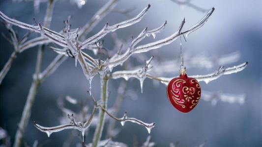 圣诞饰品在冰冻的树分支全高清壁纸和背景图像