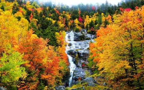 在秋季森林全高清壁纸和背景图像中的级联瀑布