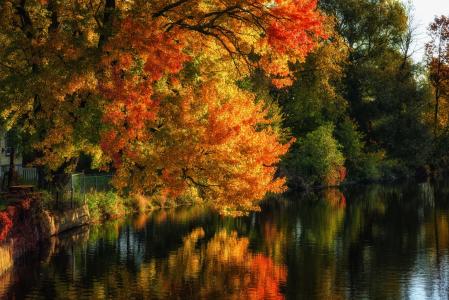 秋天的树木沿着湖全高清壁纸和背景