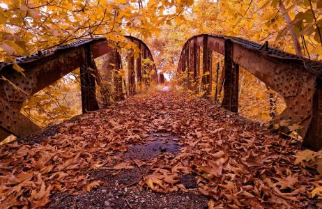 秋季桥全高清壁纸和背景图像