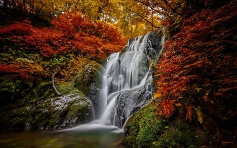 秋季森林瀑布壁纸和背景