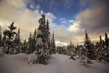 冬季森林5k视网膜超高清壁纸和背景的云