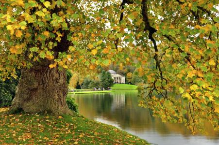 河上的秋天树全高清壁纸和背景