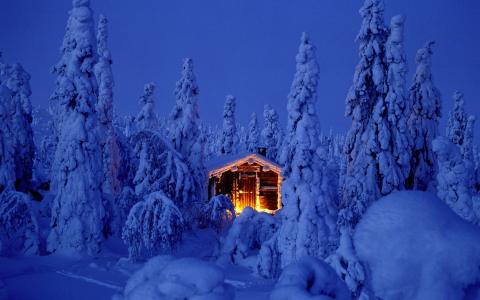 小屋在白雪皑皑的森林全高清壁纸和背景图像