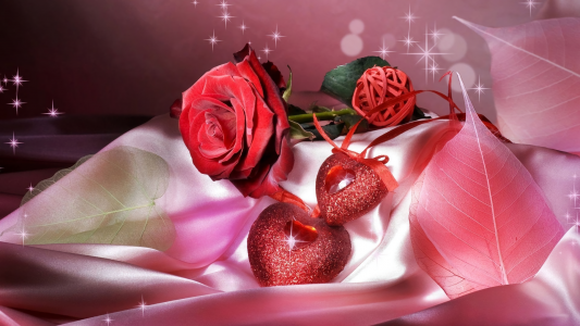 情人节玫瑰全高清壁纸和背景图像