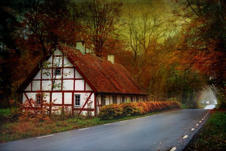 房子在秋季道路全高清壁纸和背景图像