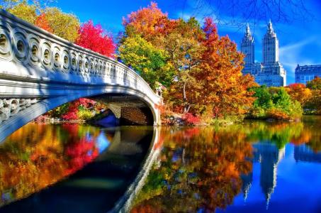 秋天在纽约中央公园全高清壁纸和背景图像