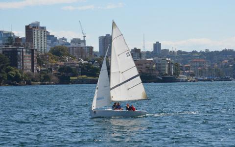 悉尼港全高清壁纸和背景图像的帆船