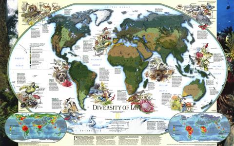 世界地图全高清壁纸和背景图像