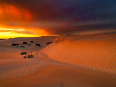 Eucla沙丘日落在西澳大利亚州。