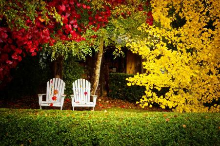 后院在秋季全高清壁纸和背景图像